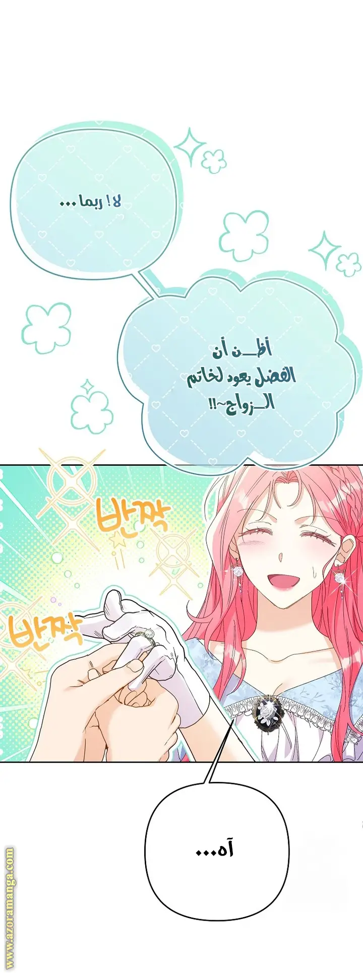 الصفحة 30