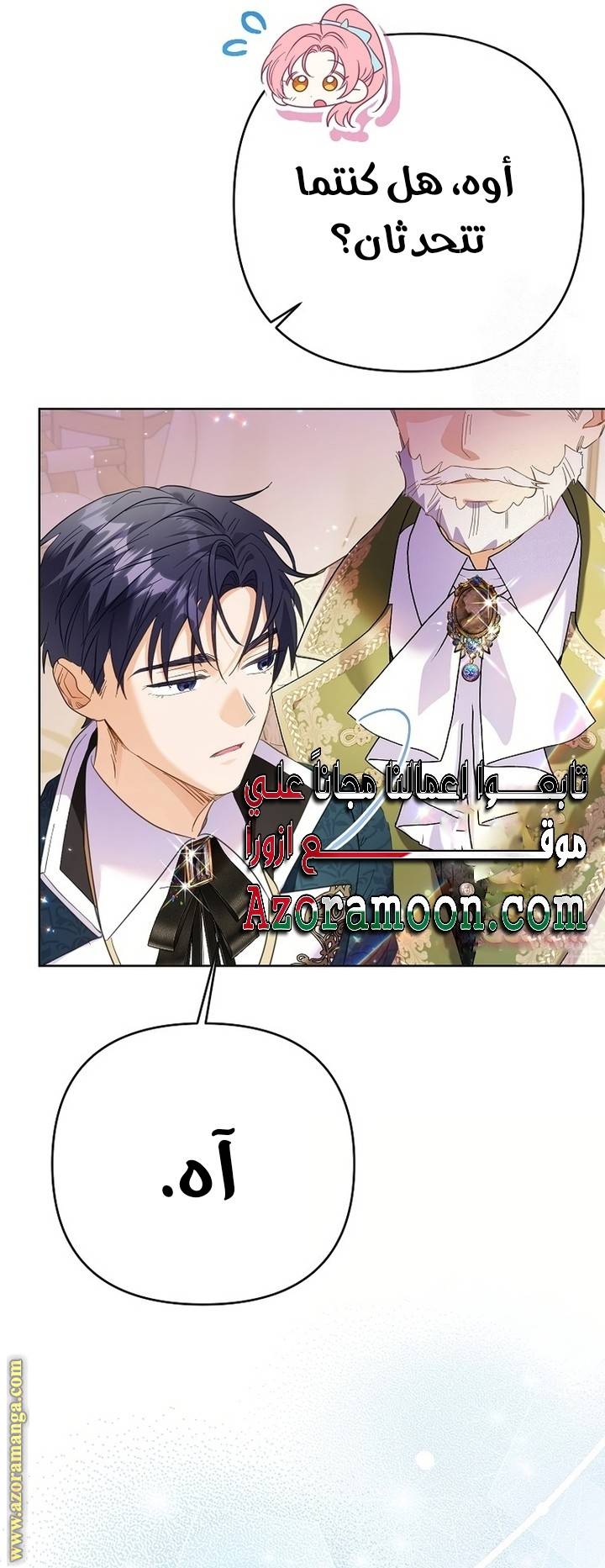 الصفحة 17