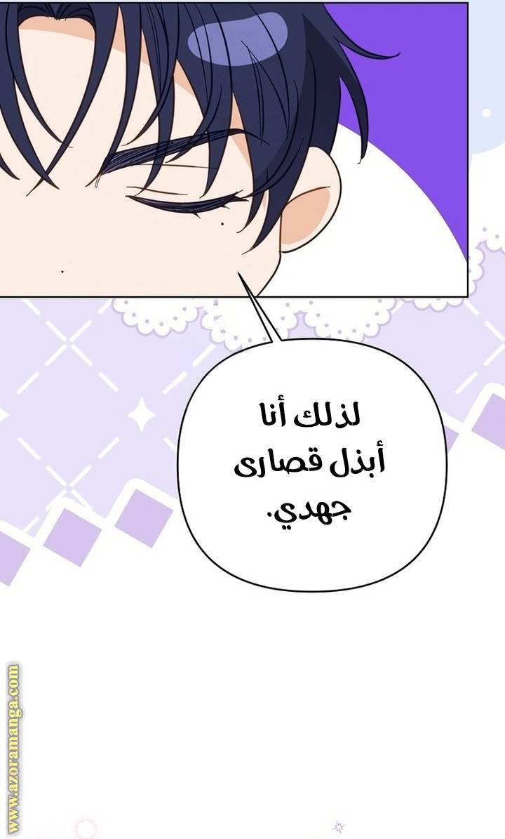 الصفحة 27