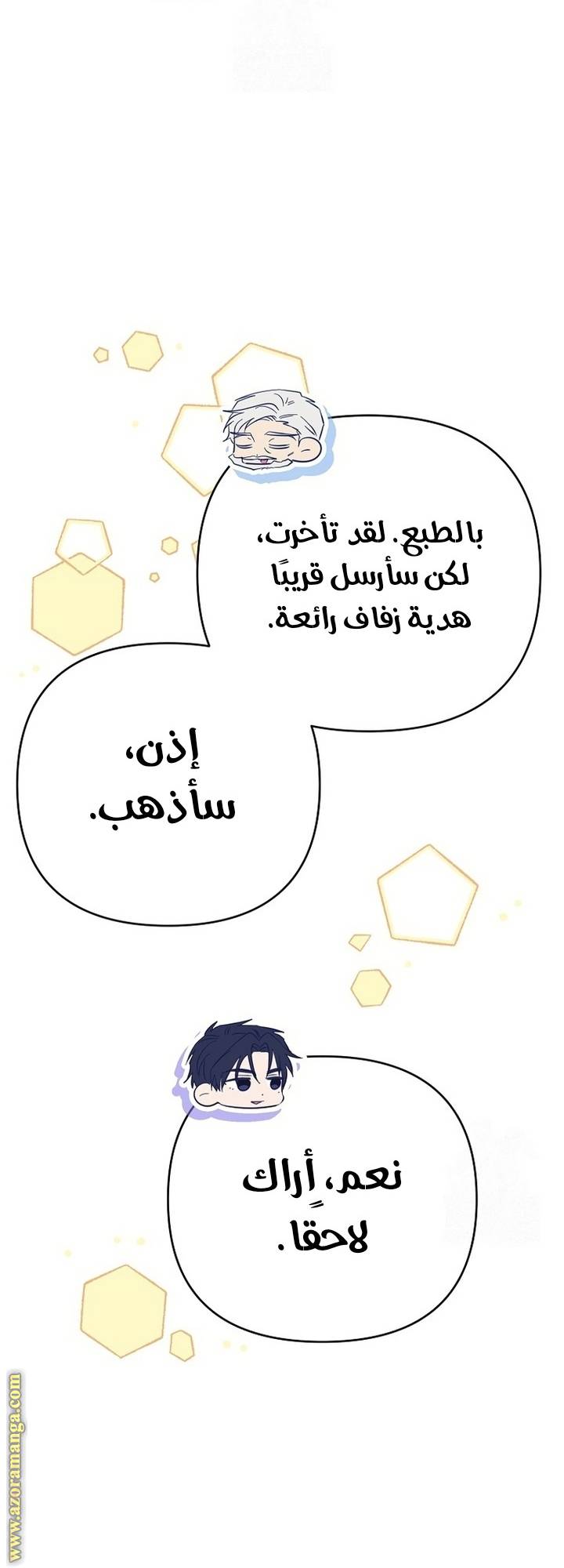 الصفحة 30