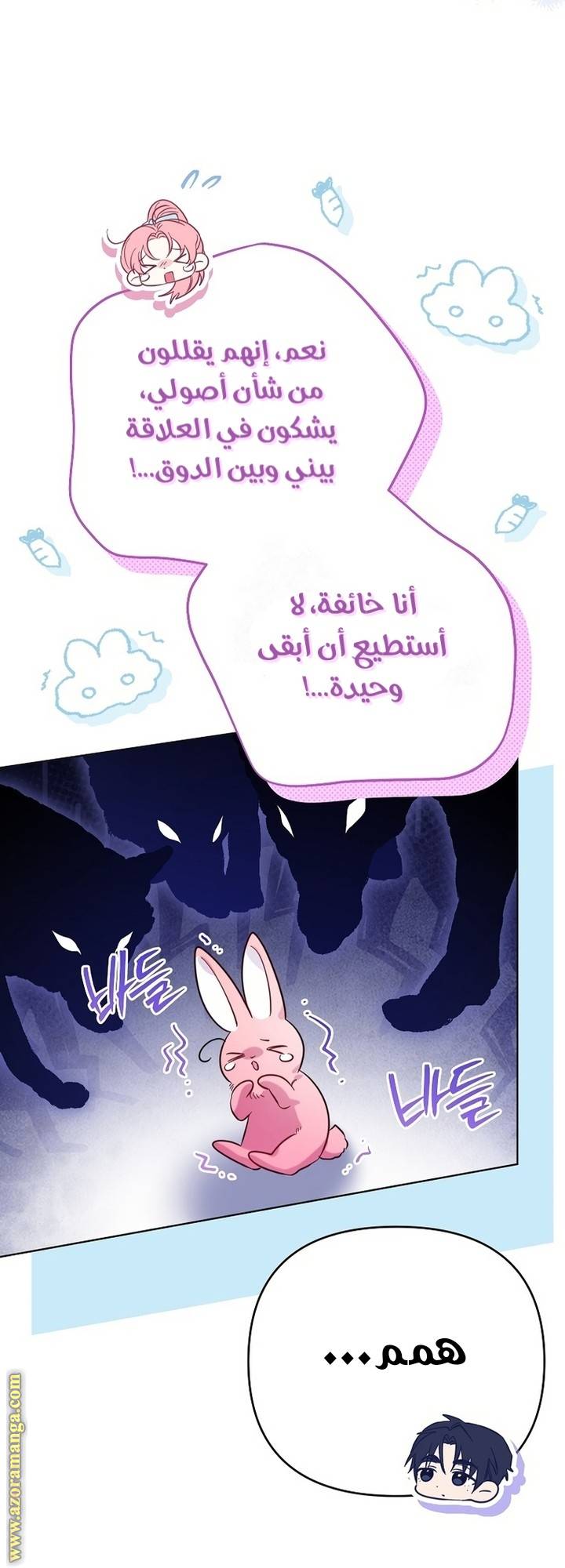 الصفحة 35