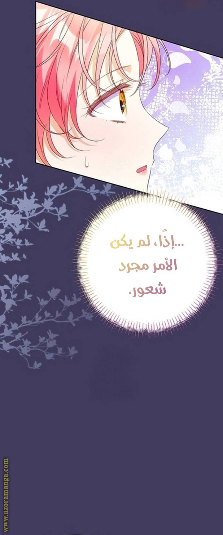 الصفحة 24