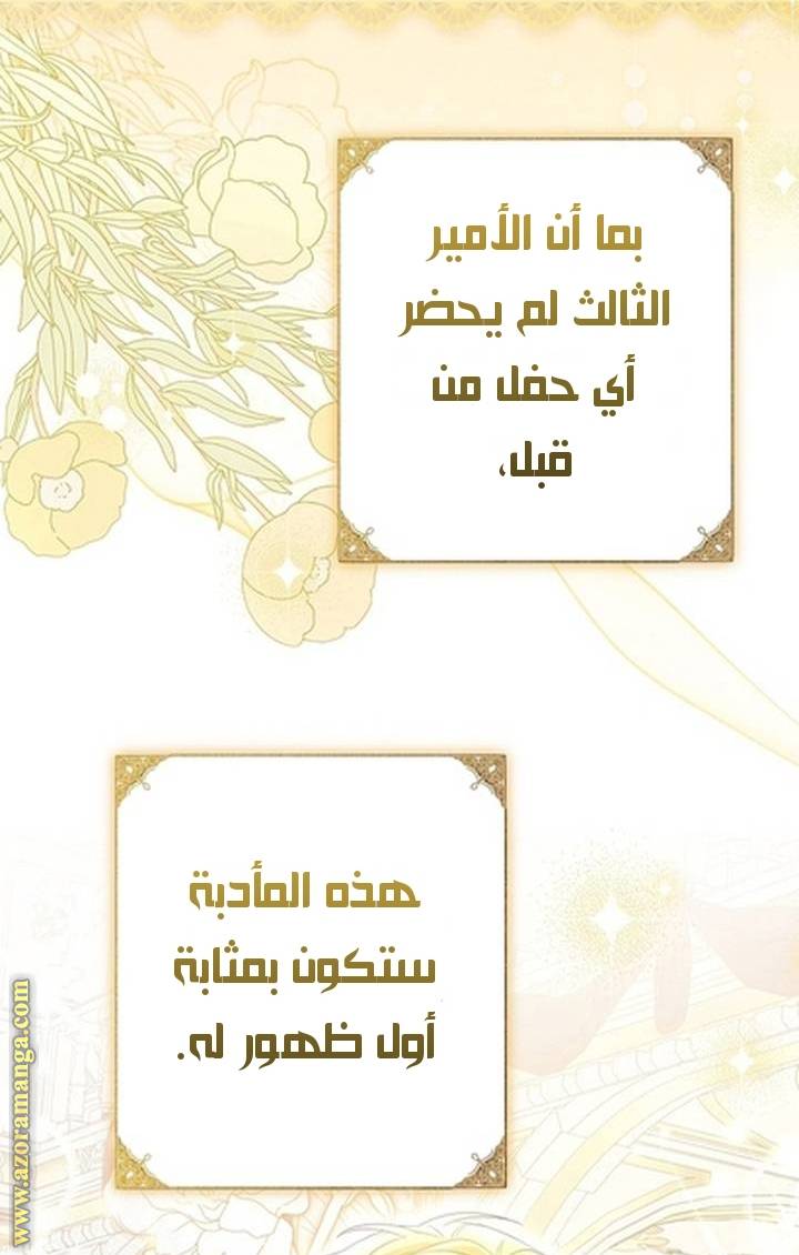 الصفحة 46