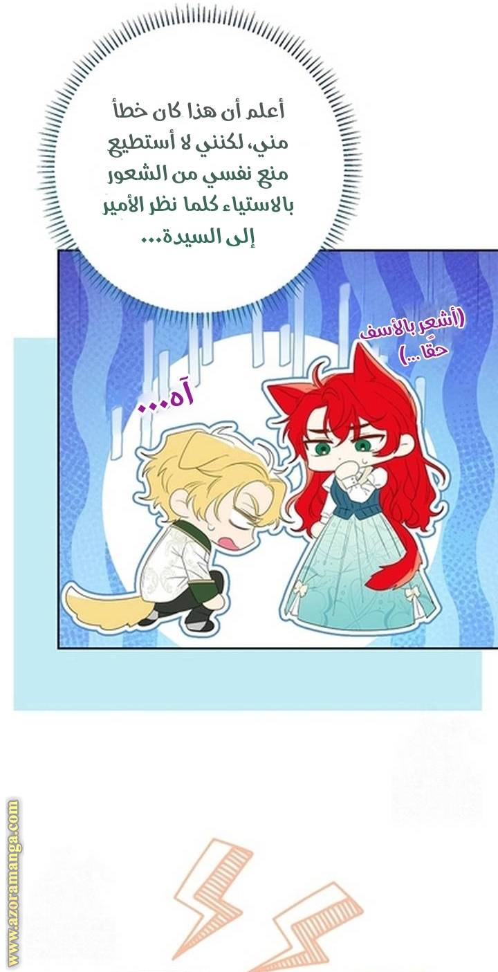 الصفحة 61