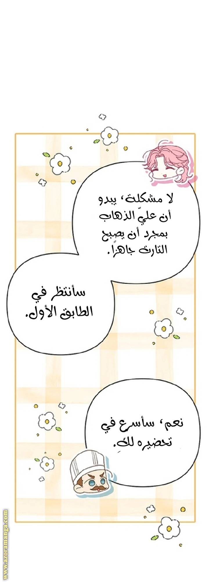 الصفحة 13