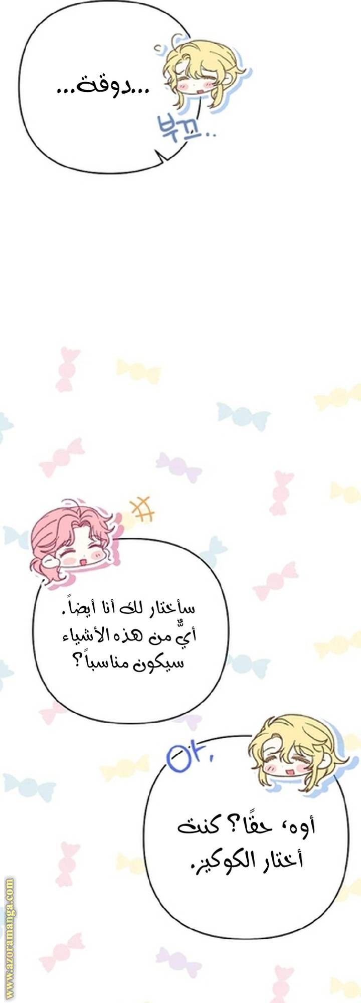 الصفحة 29