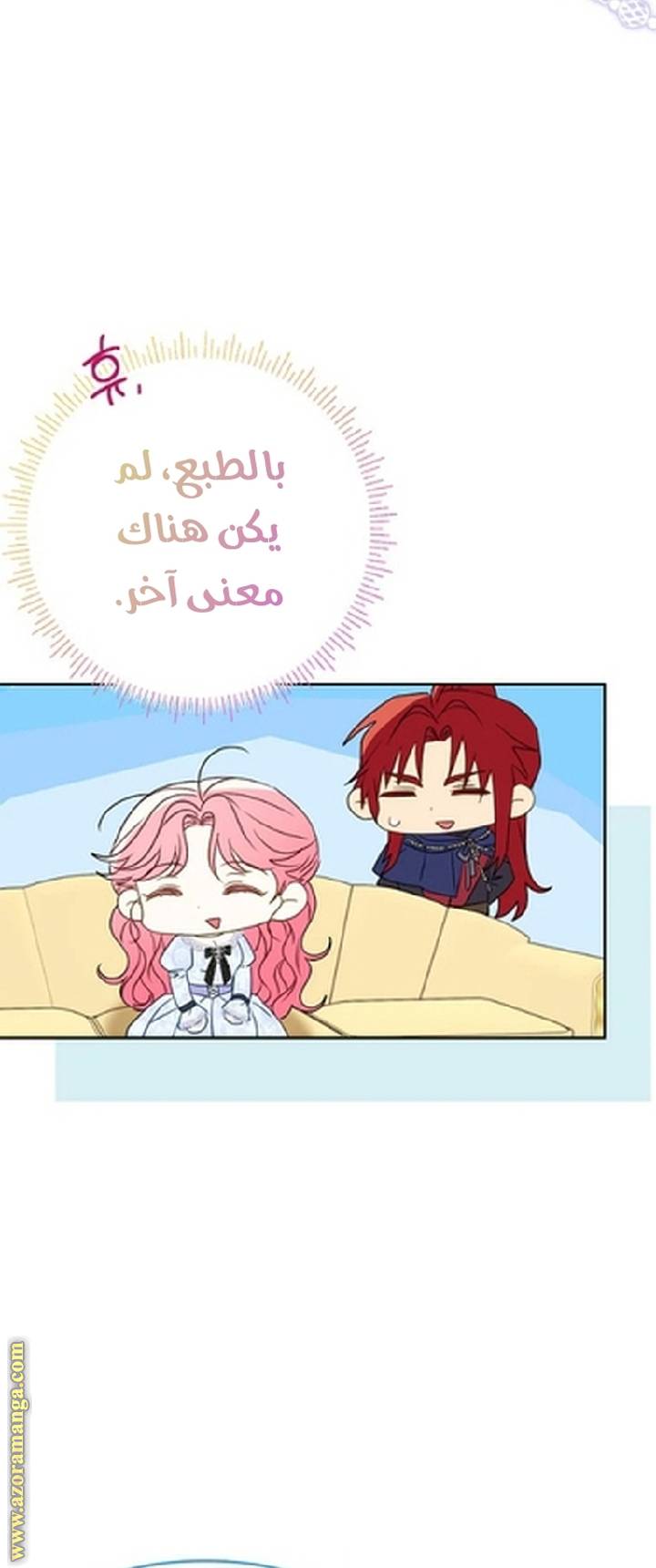 الصفحة 43