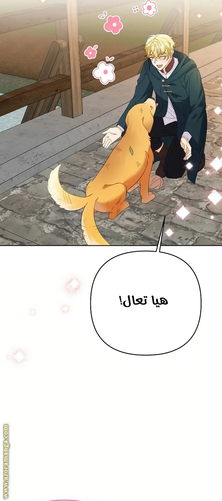الصفحة 13