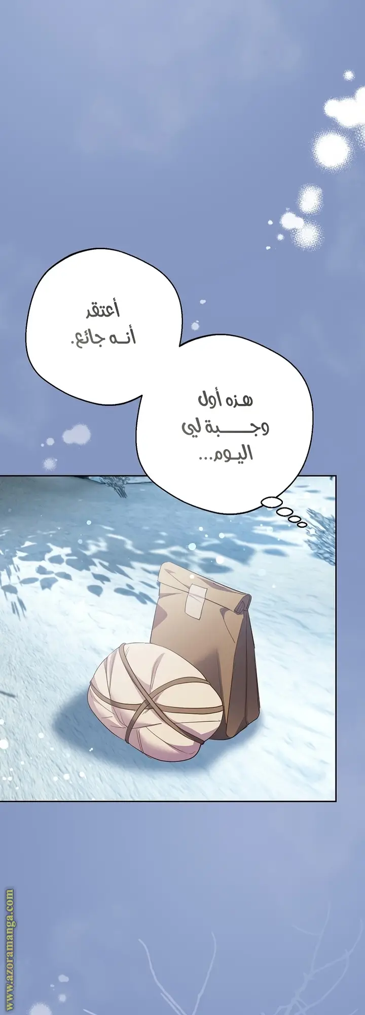 الصفحة 20