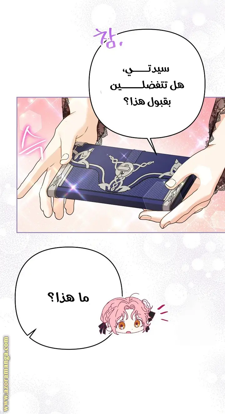 الصفحة 17