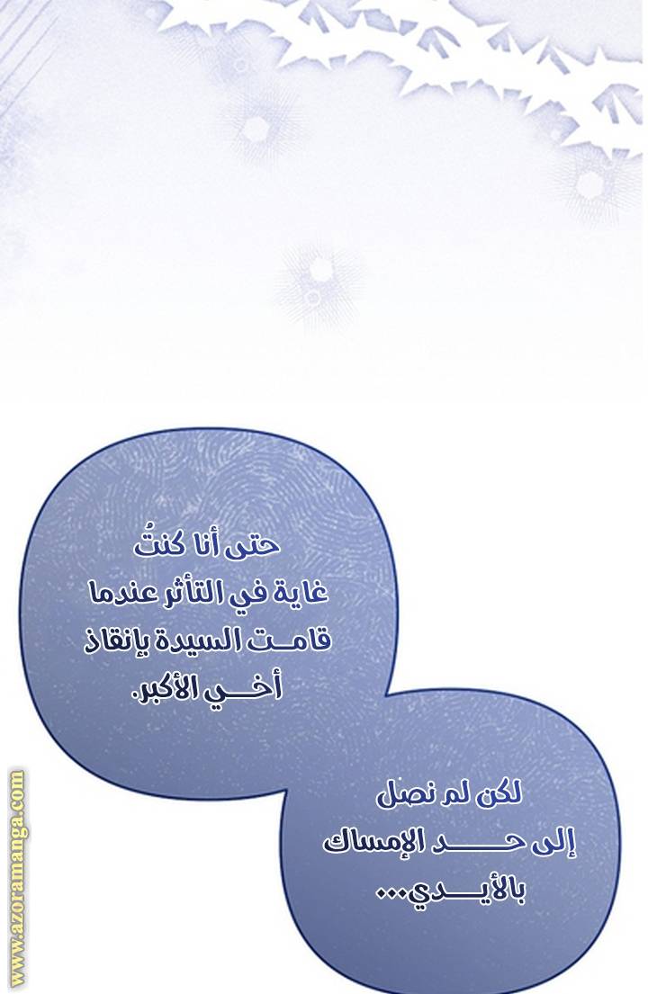 الصفحة 29