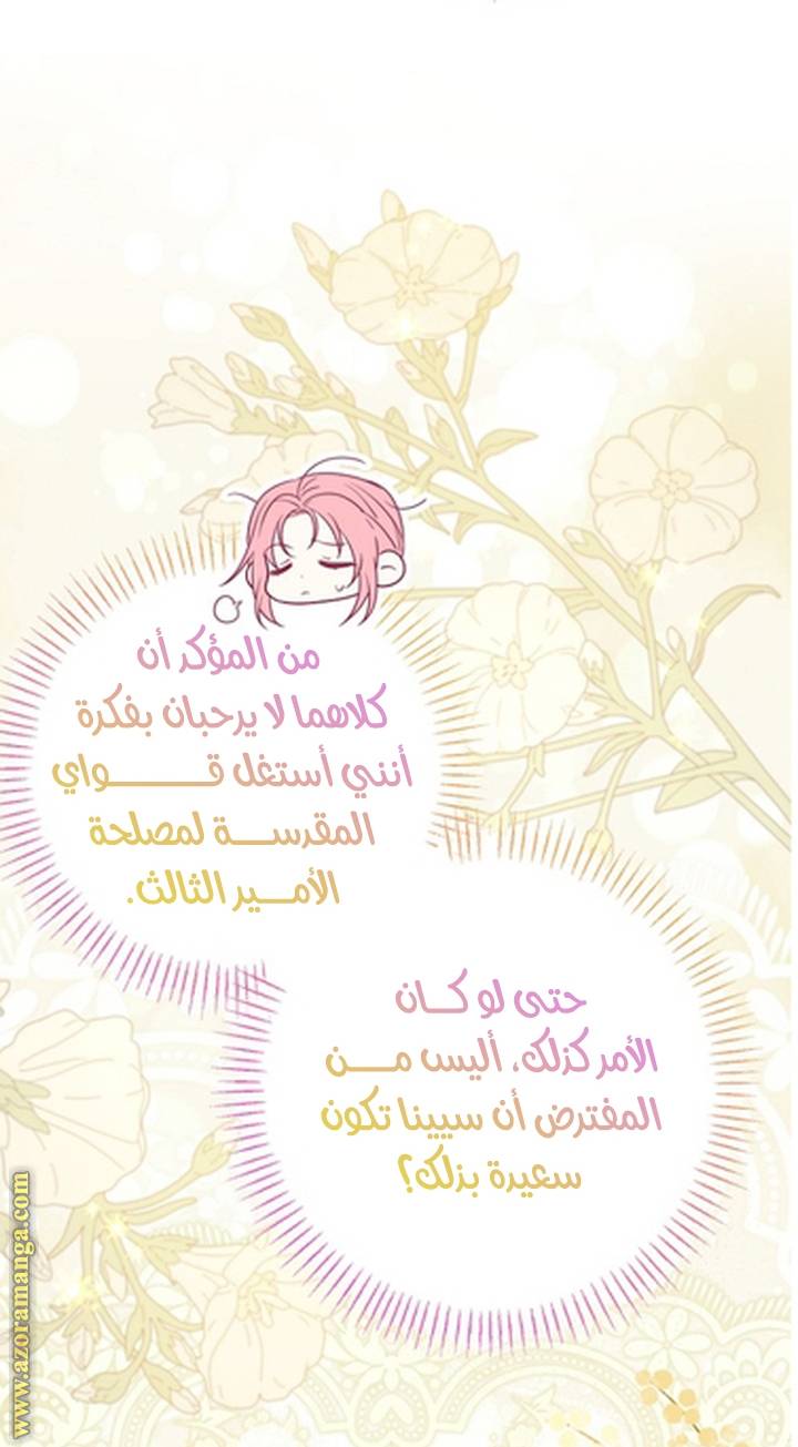 الصفحة 41