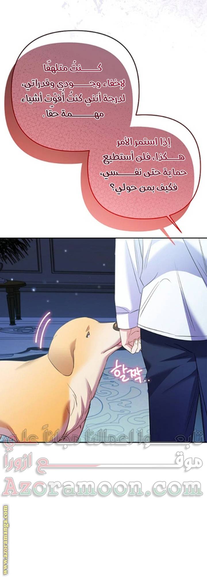 الصفحة 19
