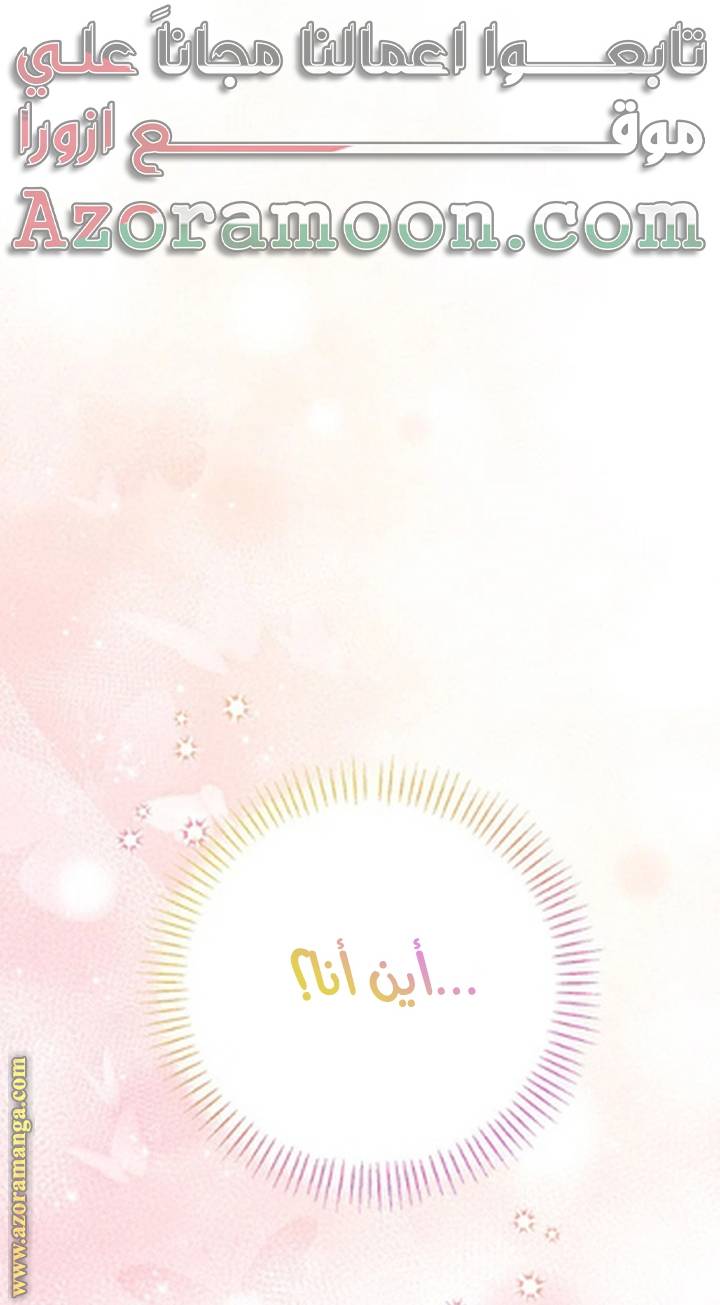 الصفحة 25