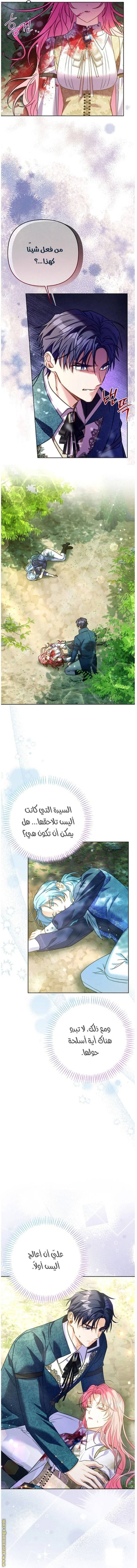 الصفحة 7
