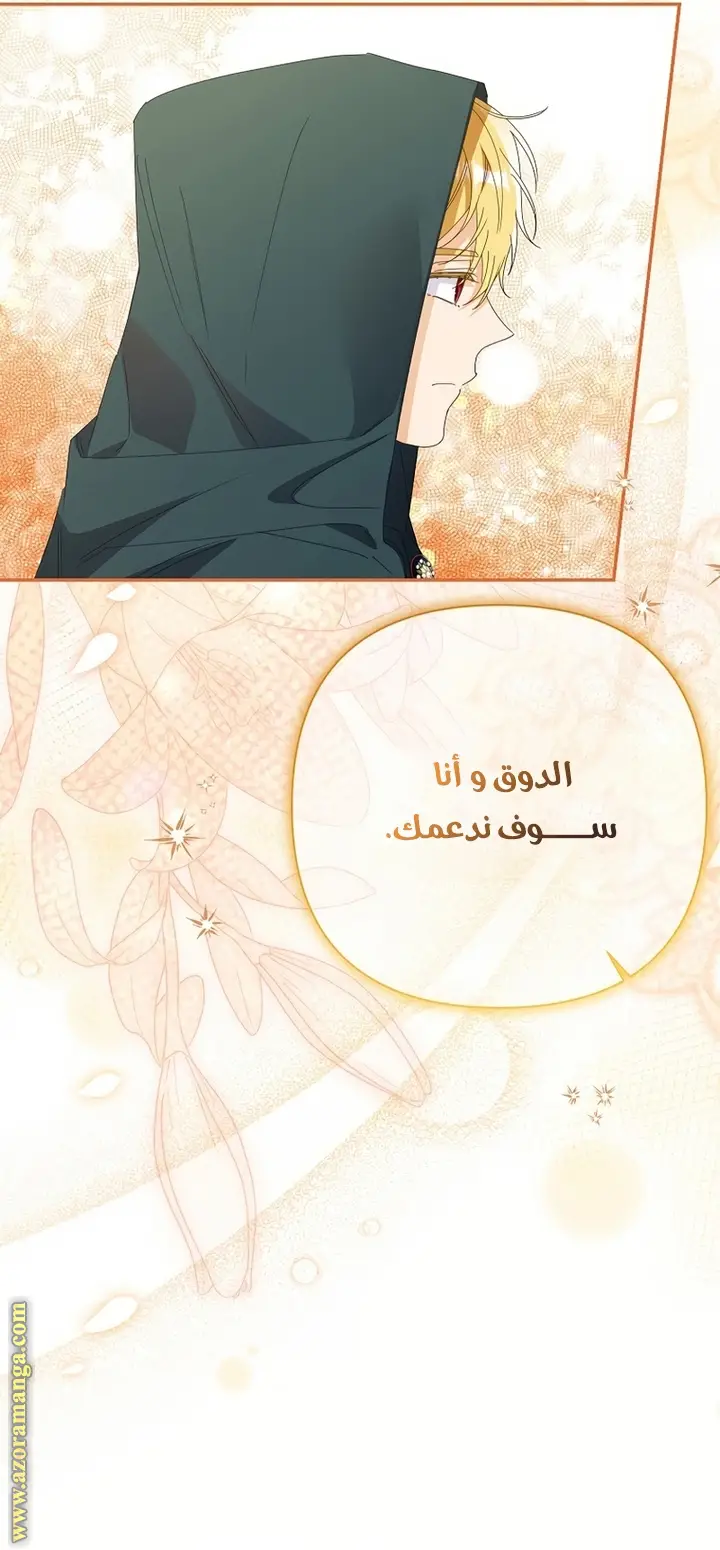 الصفحة 41
