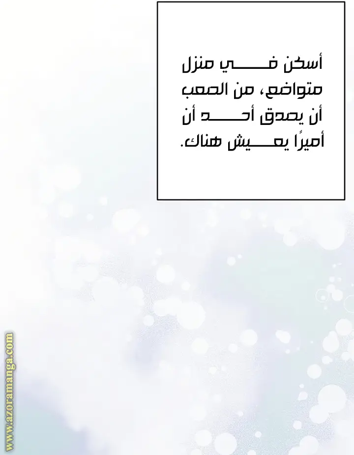 الصفحة 49