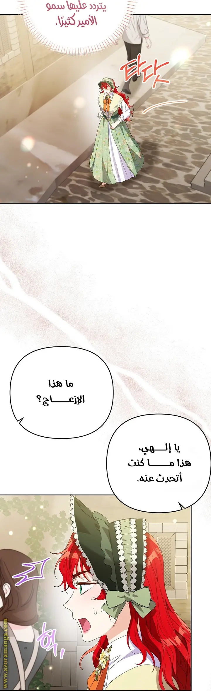 الصفحة 25