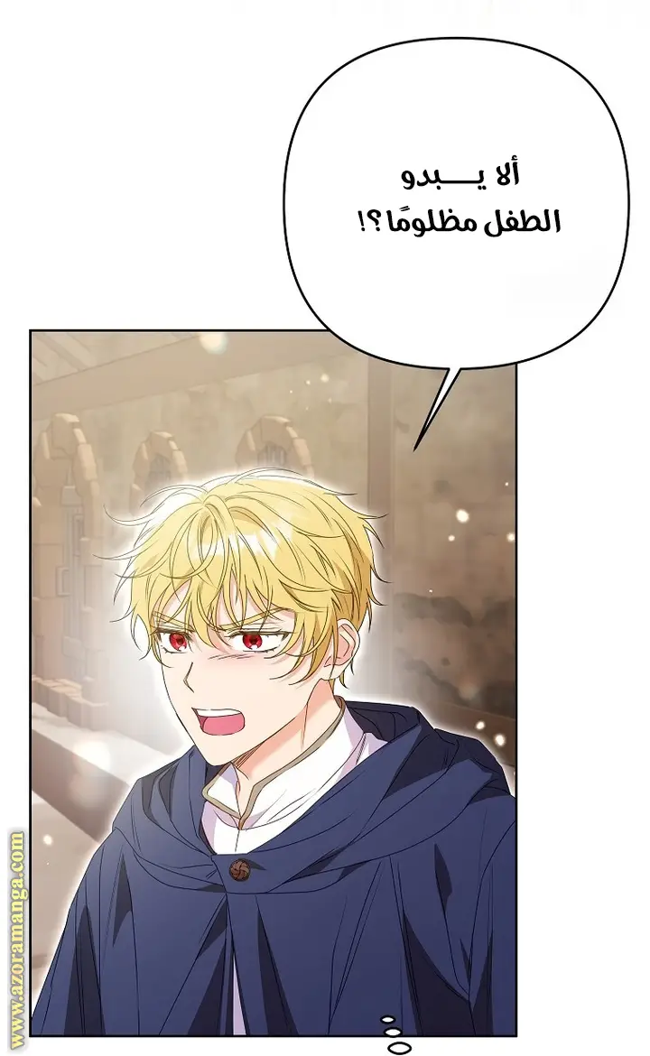 الصفحة 29