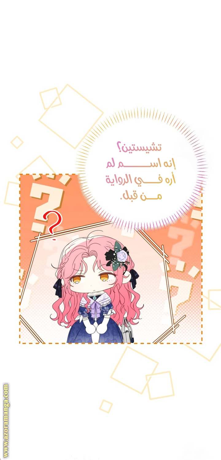 الصفحة 27