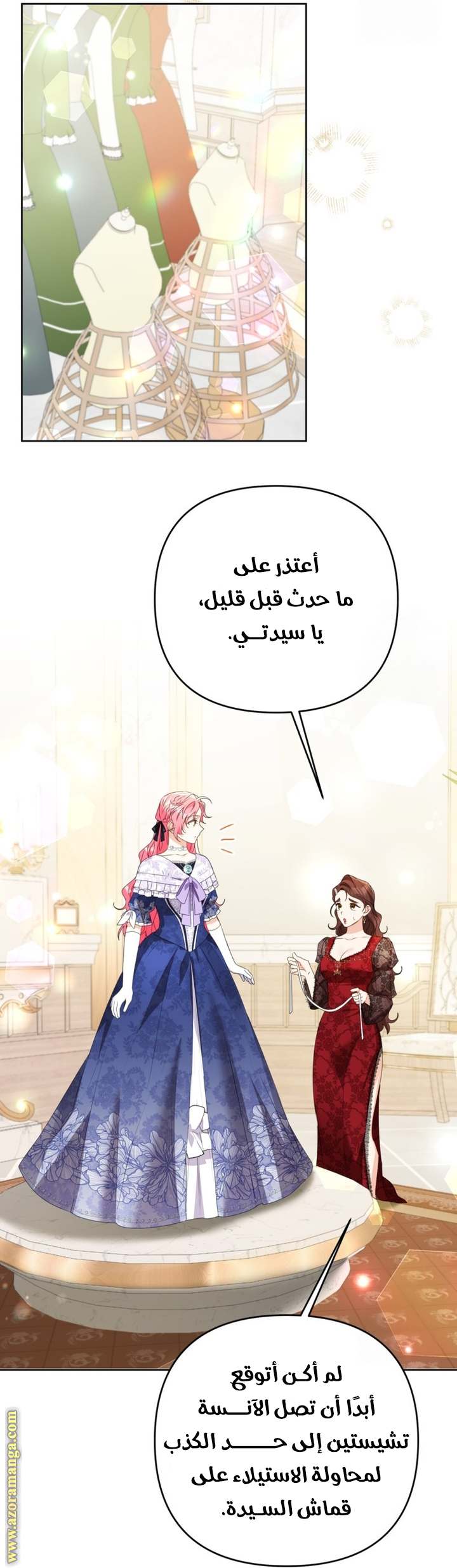 الصفحة 41