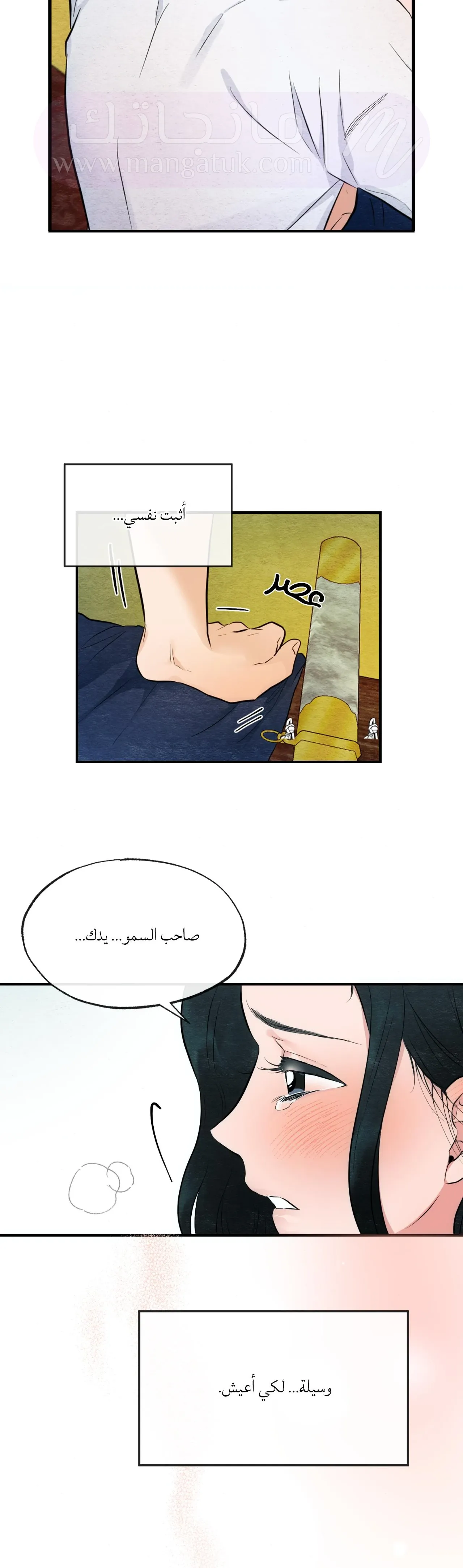 الصفحة 16