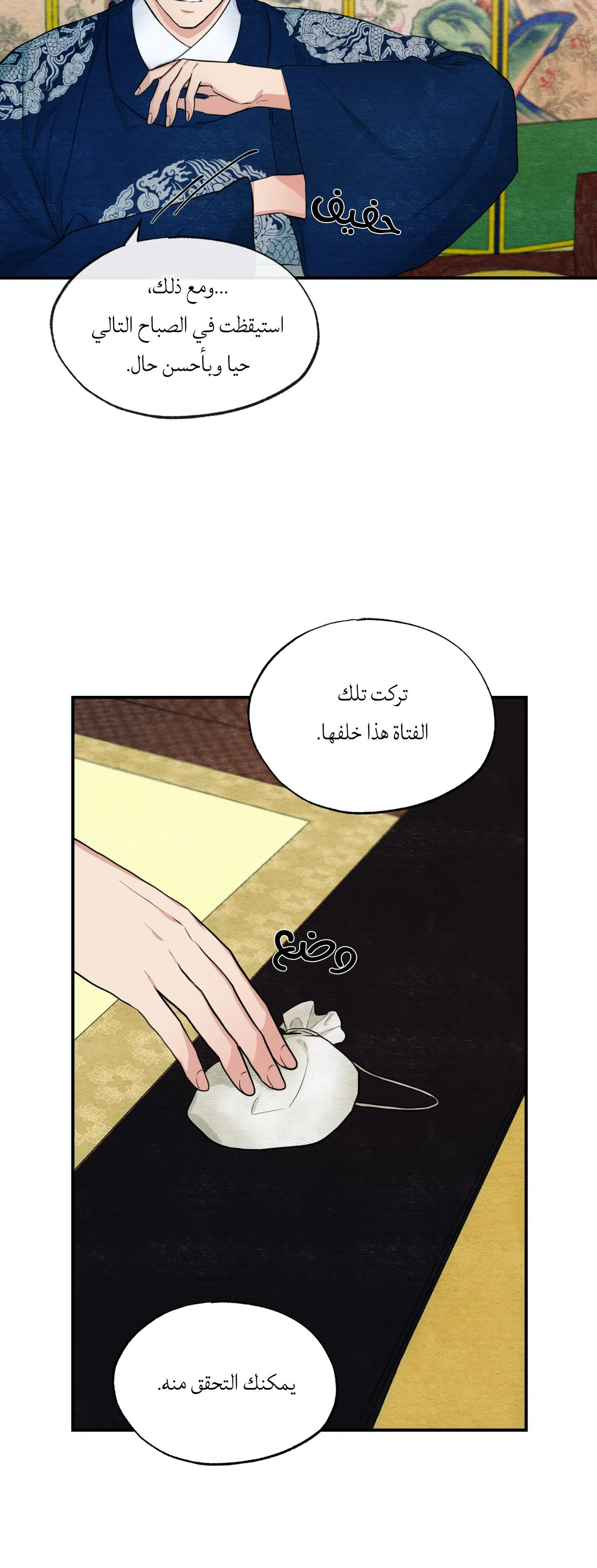 الصفحة 17