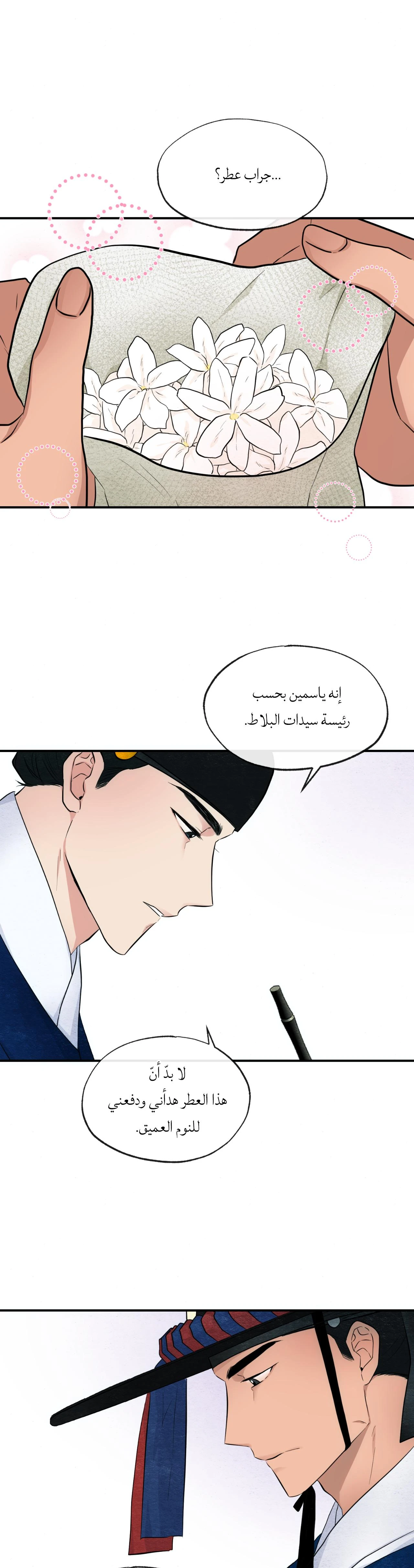 الصفحة 19