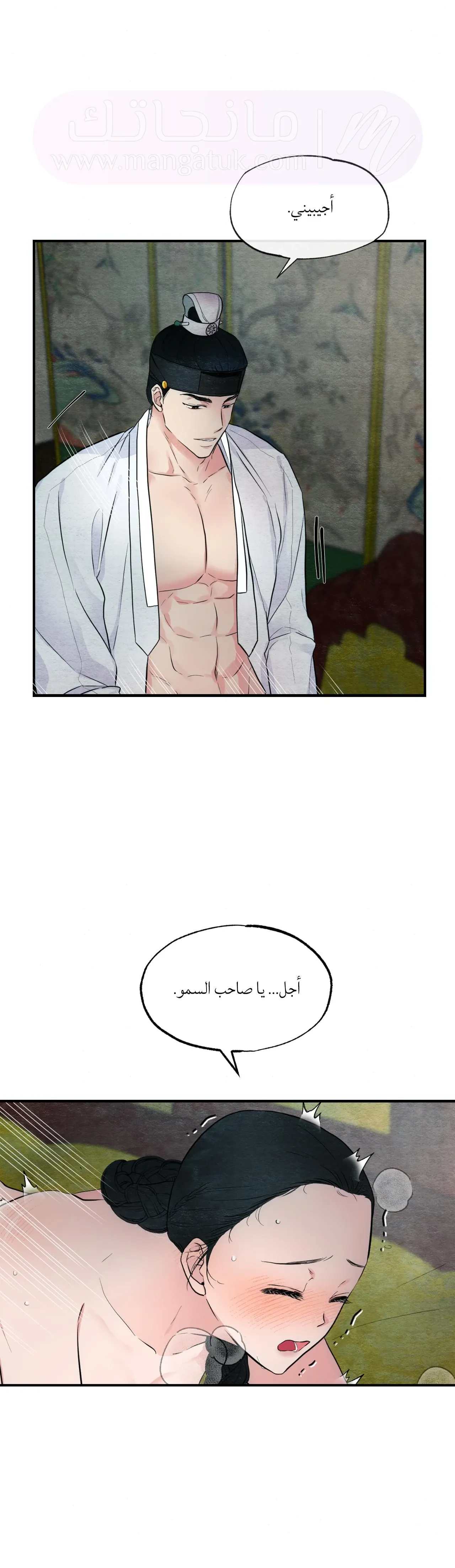 الصفحة 13