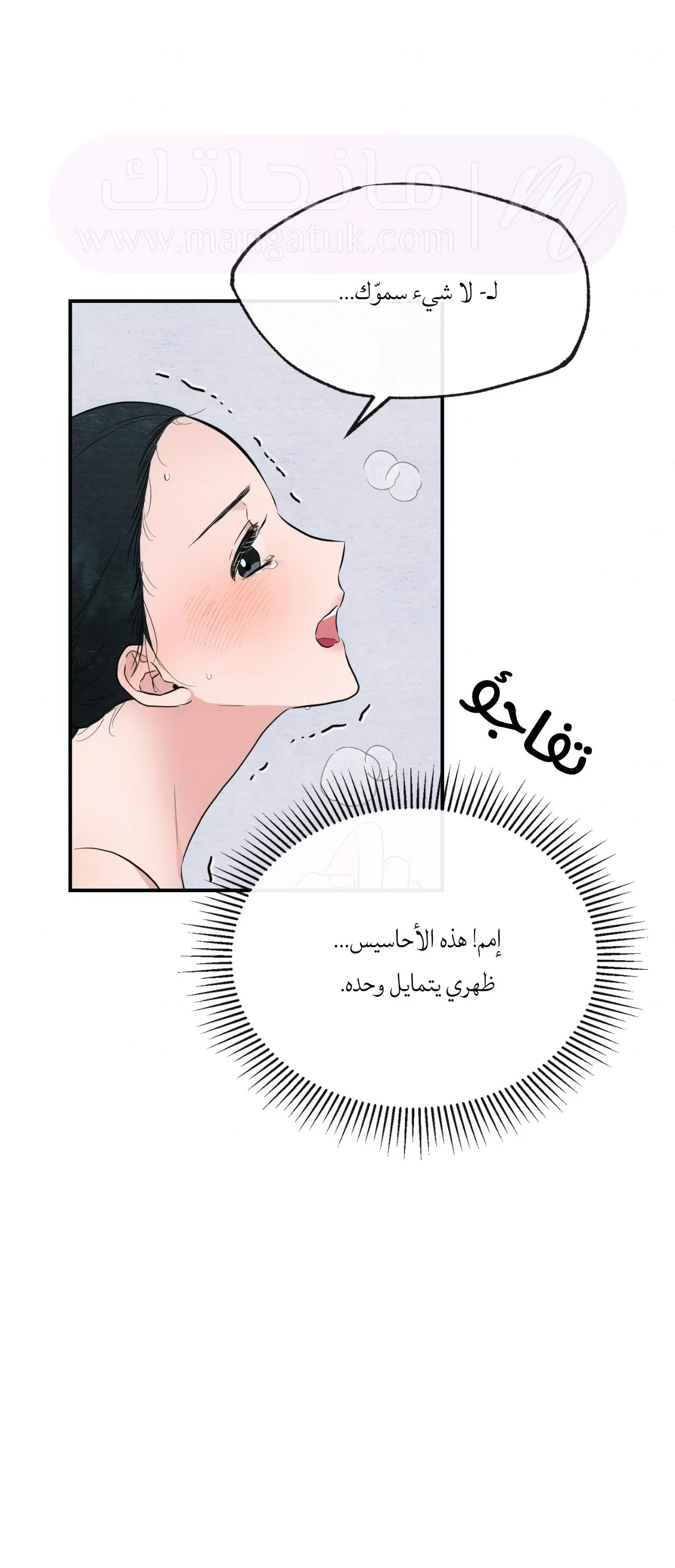 الصفحة 19