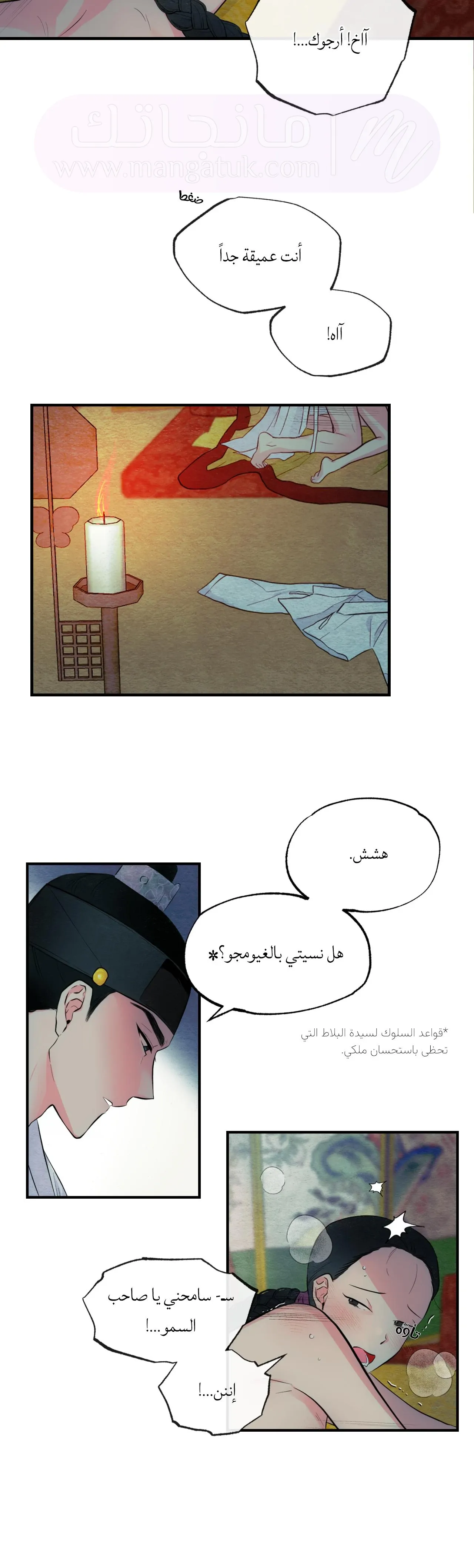 الصفحة 3
