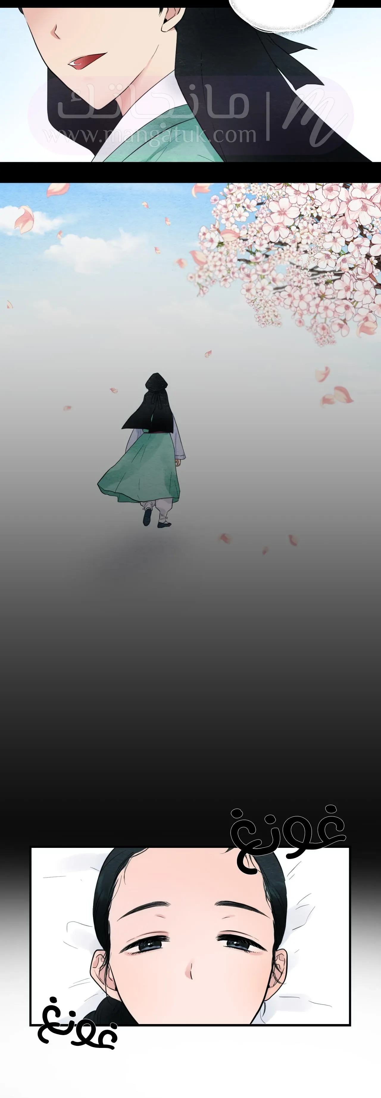 الصفحة 11