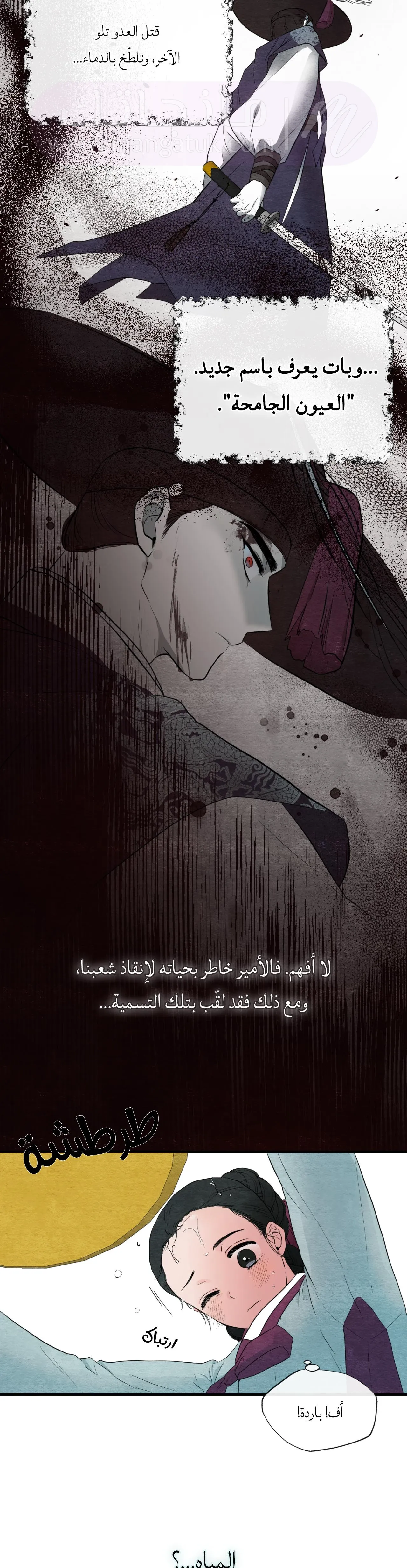 الصفحة 25