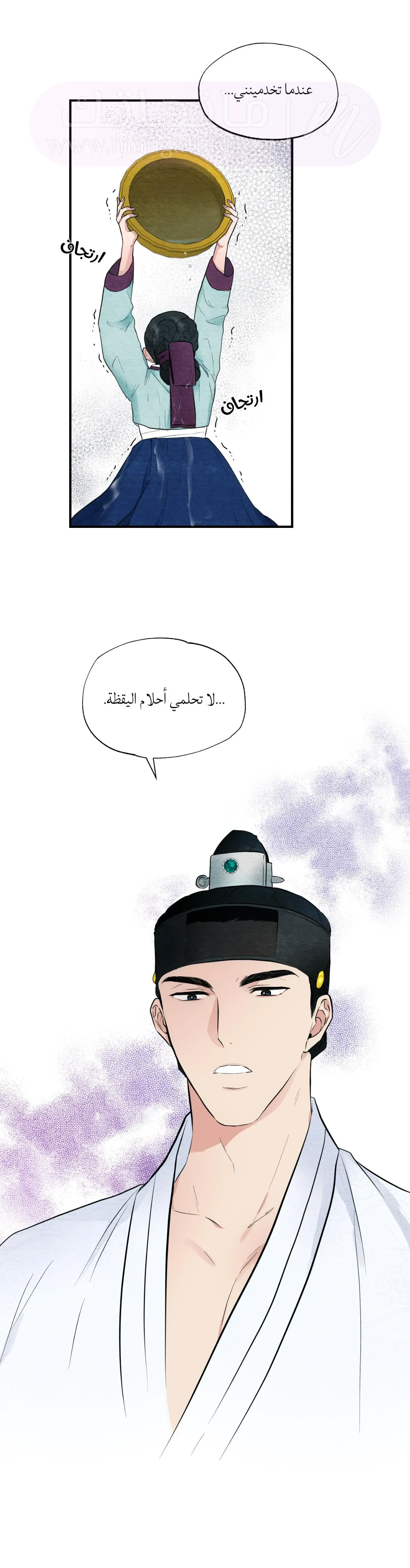 الصفحة 31