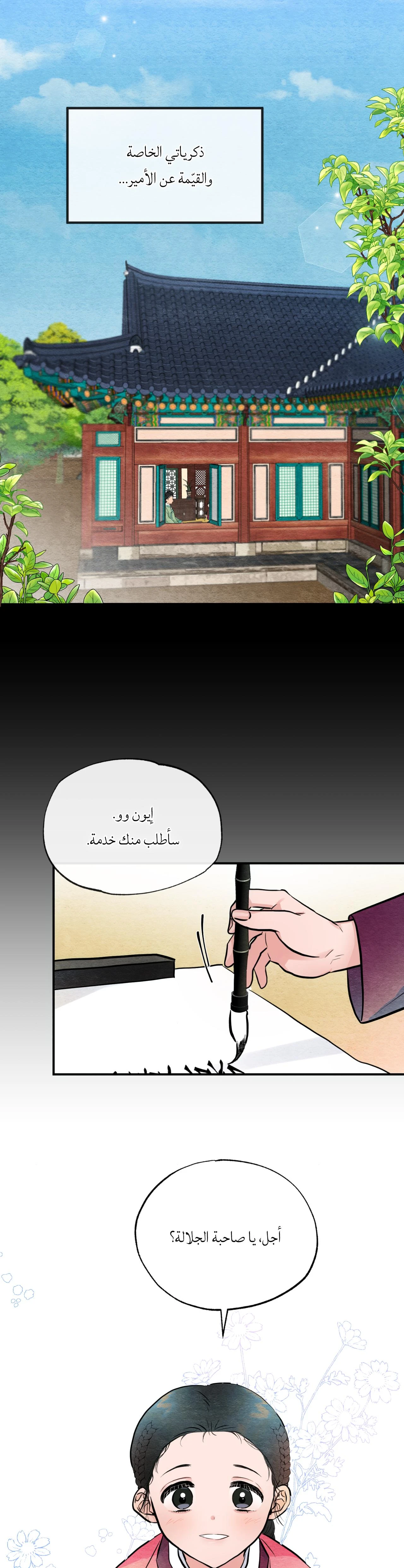 الصفحة 13