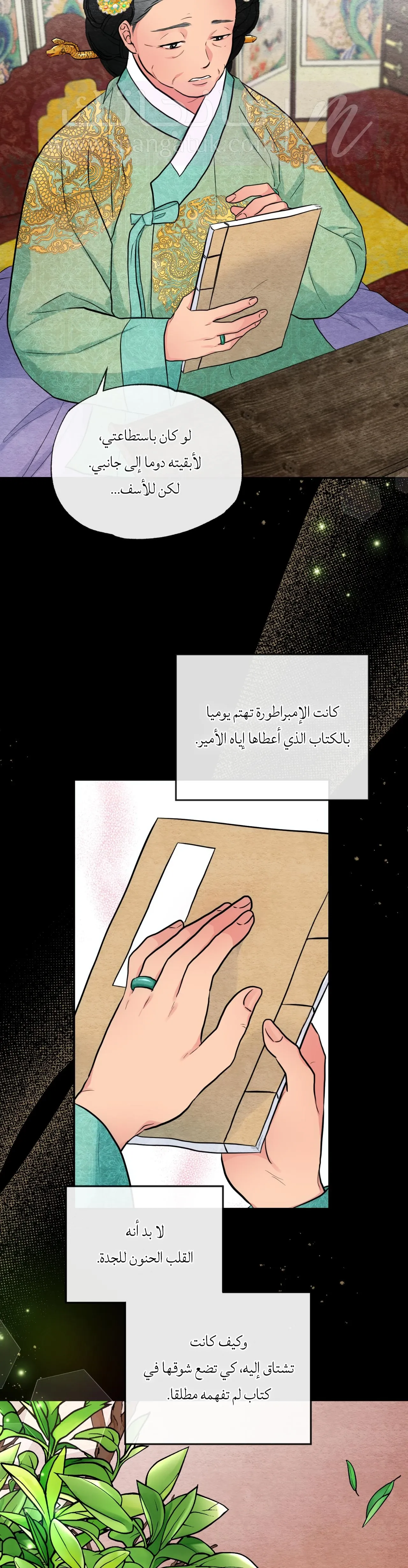الصفحة 17