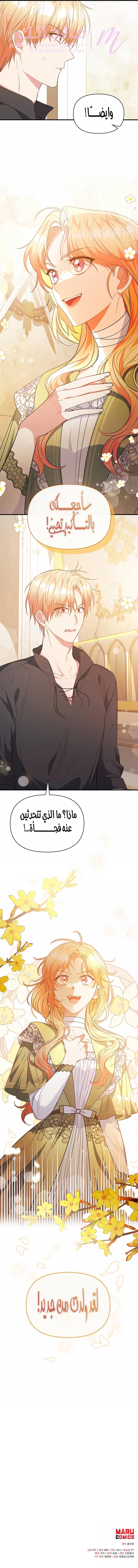 الصفحة 12