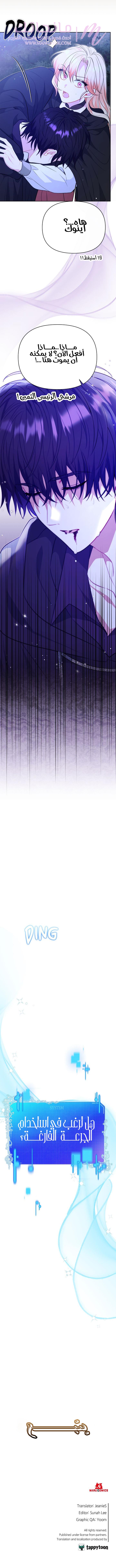الصفحة 13
