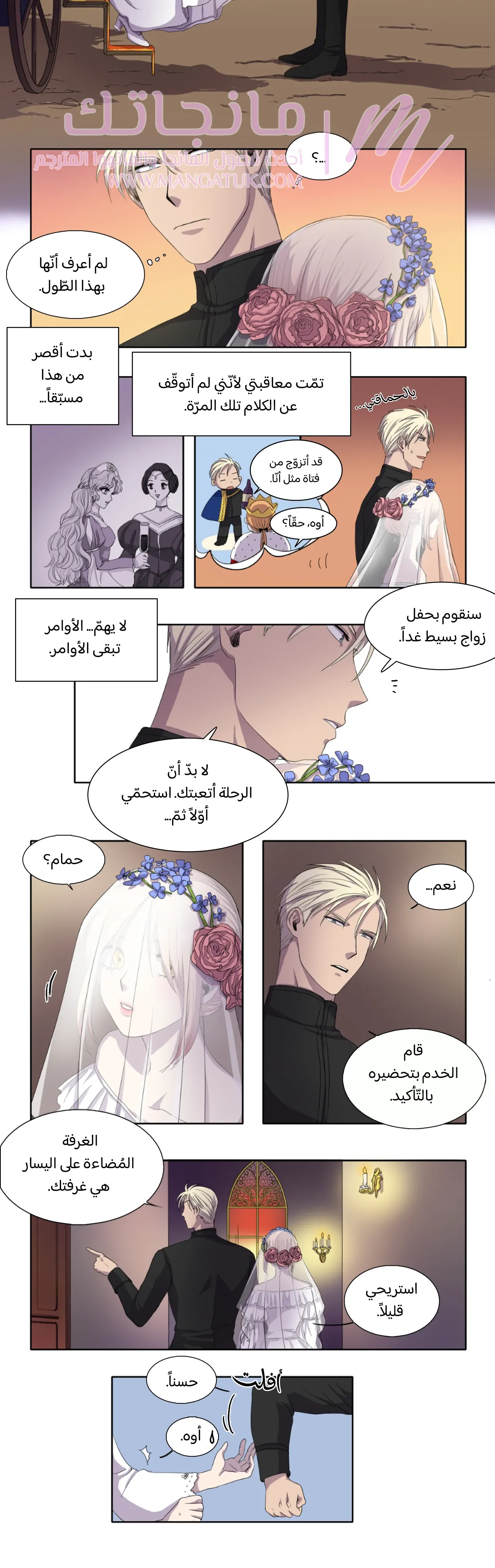 الصفحة 11