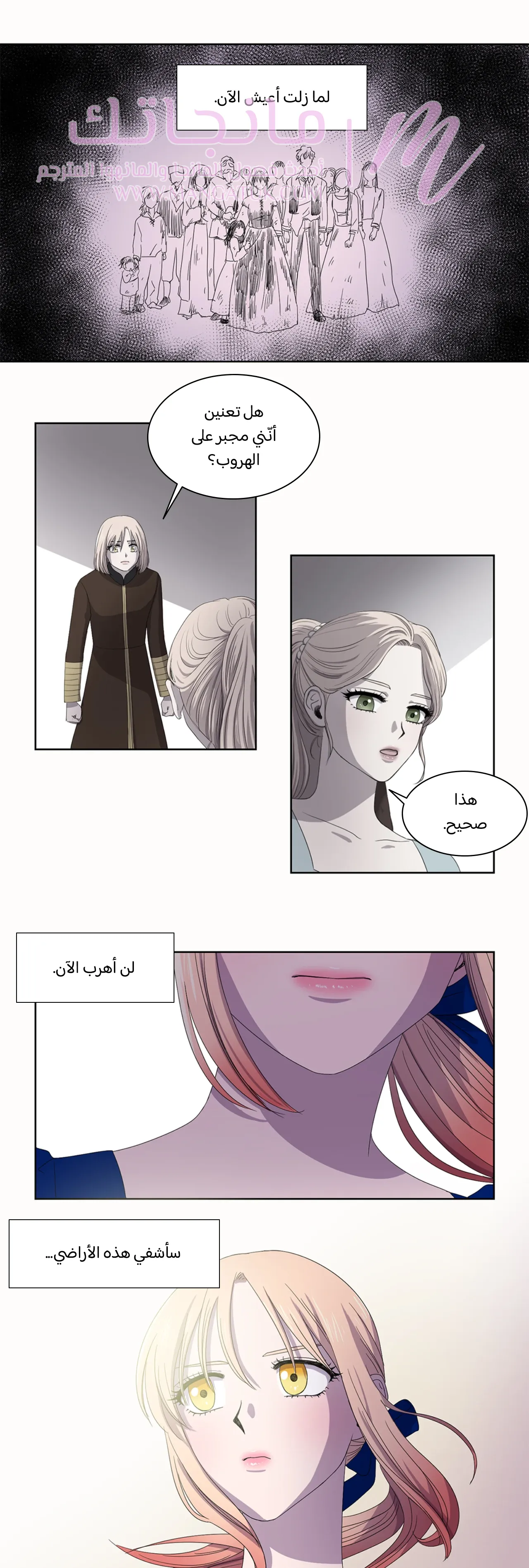 الصفحة 16