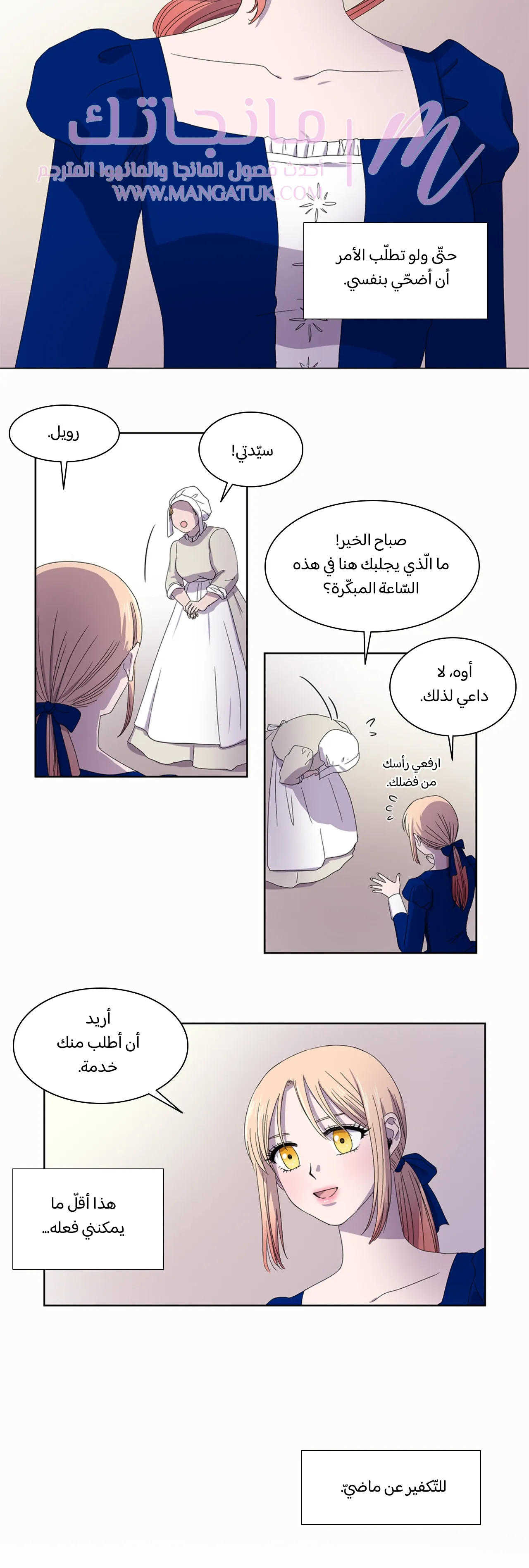 الصفحة 17