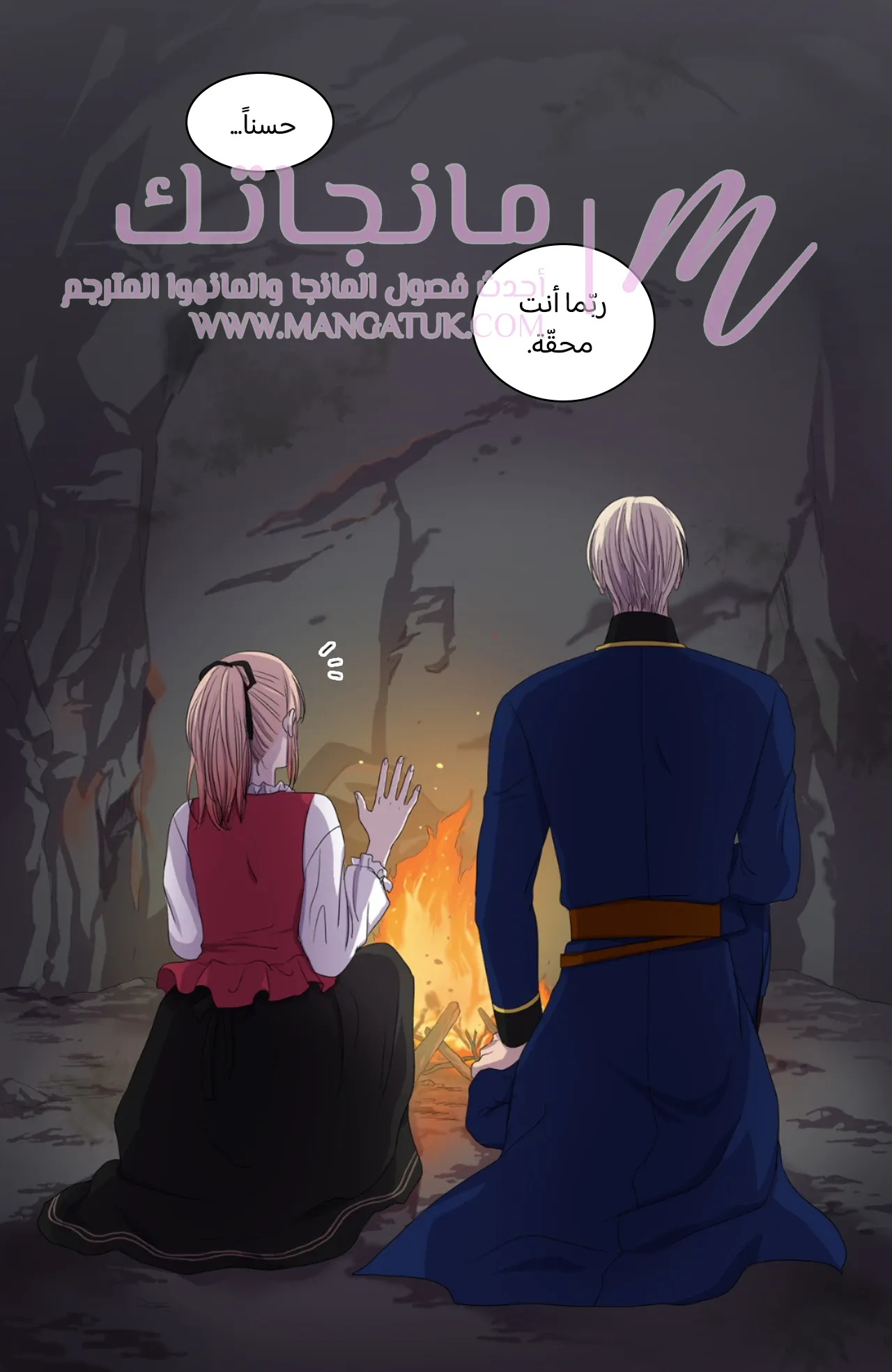الصفحة 12