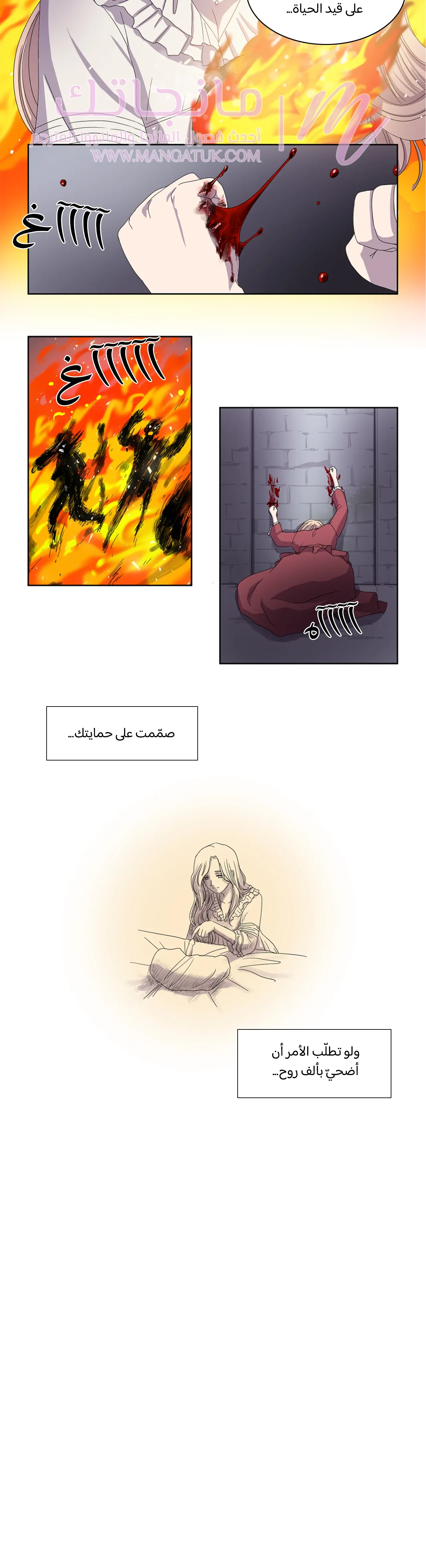الصفحة 17