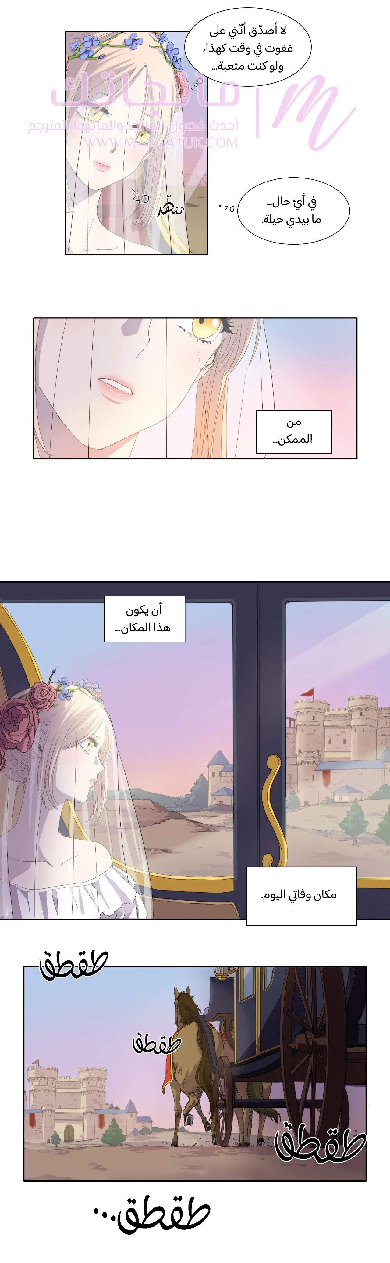 الصفحة 5