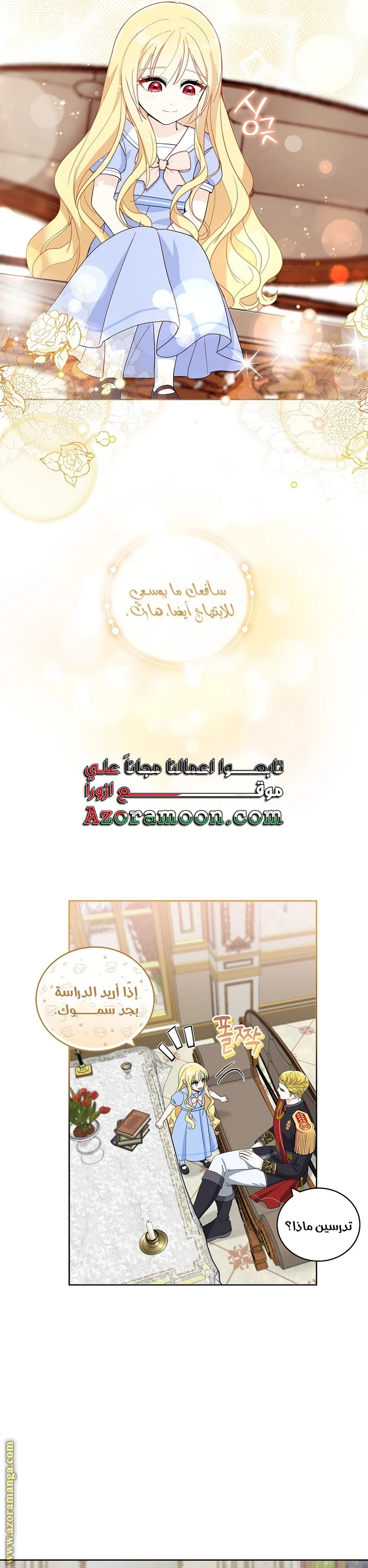 الصفحة 17