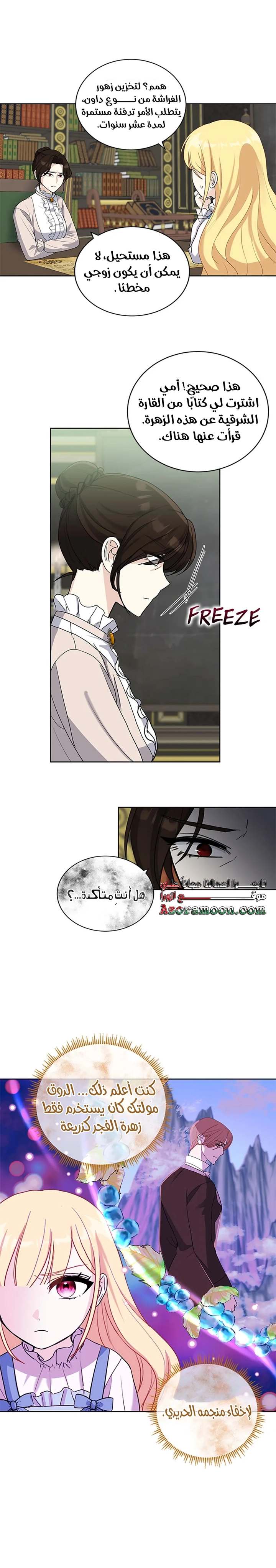الصفحة 17
