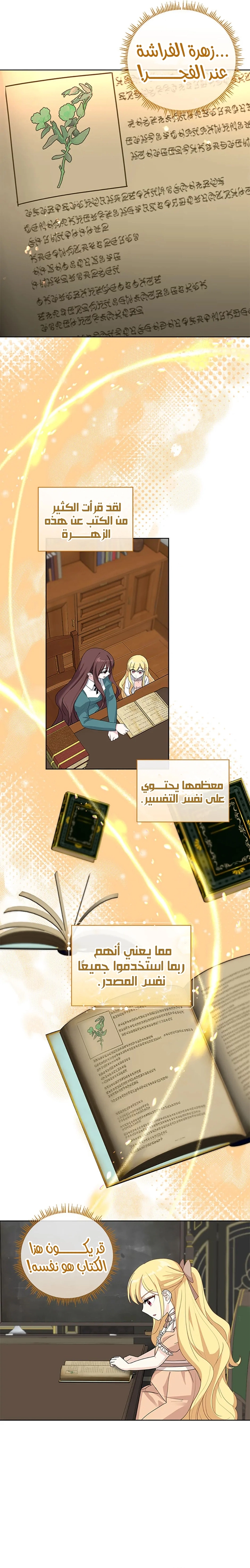 الصفحة 16