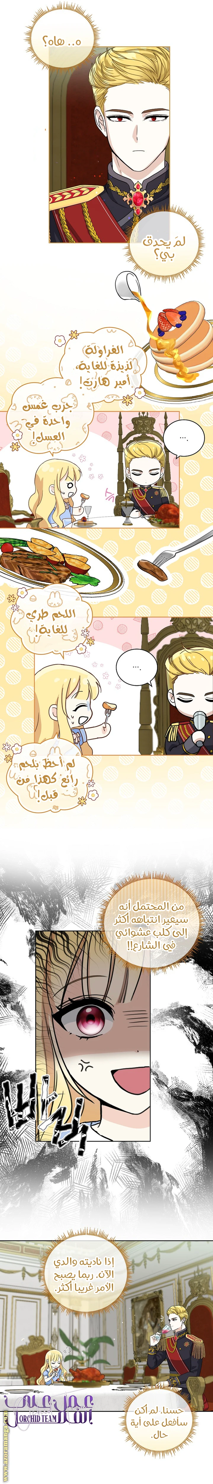 الصفحة 10