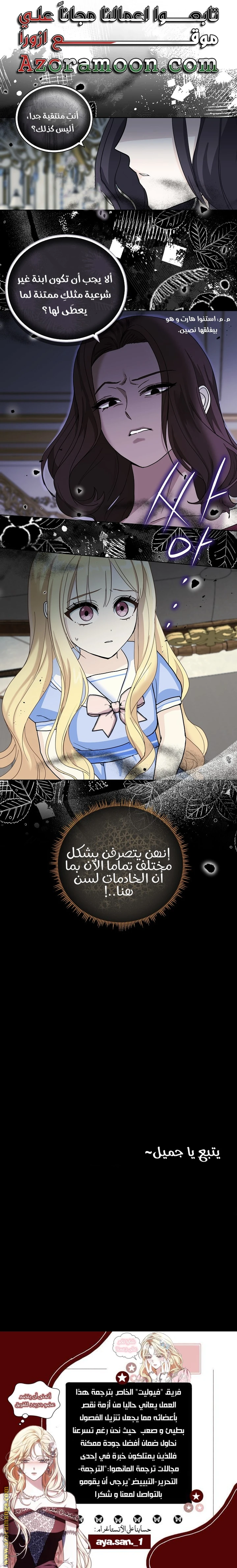 الصفحة 17