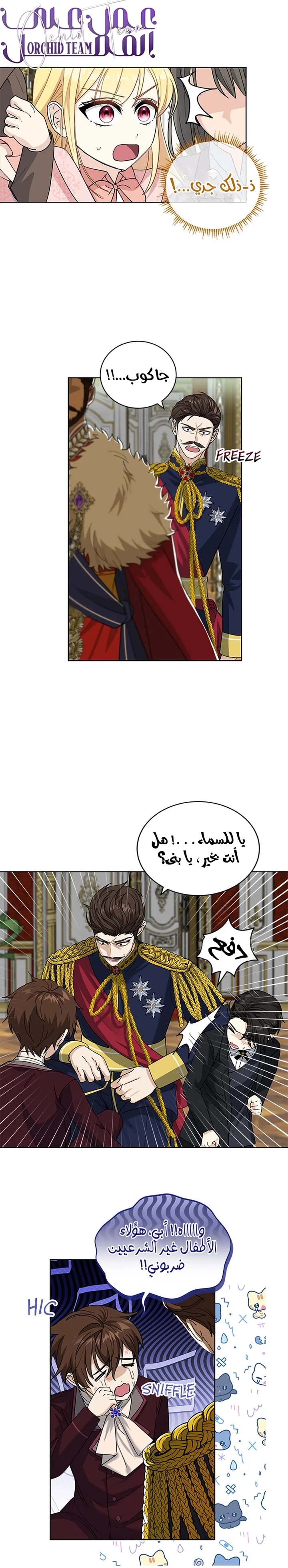 الصفحة 7